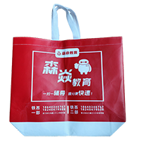 河东LB37培训班广告袋